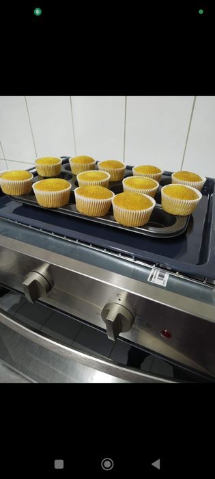 Продам встраиваемую духовку Indesit