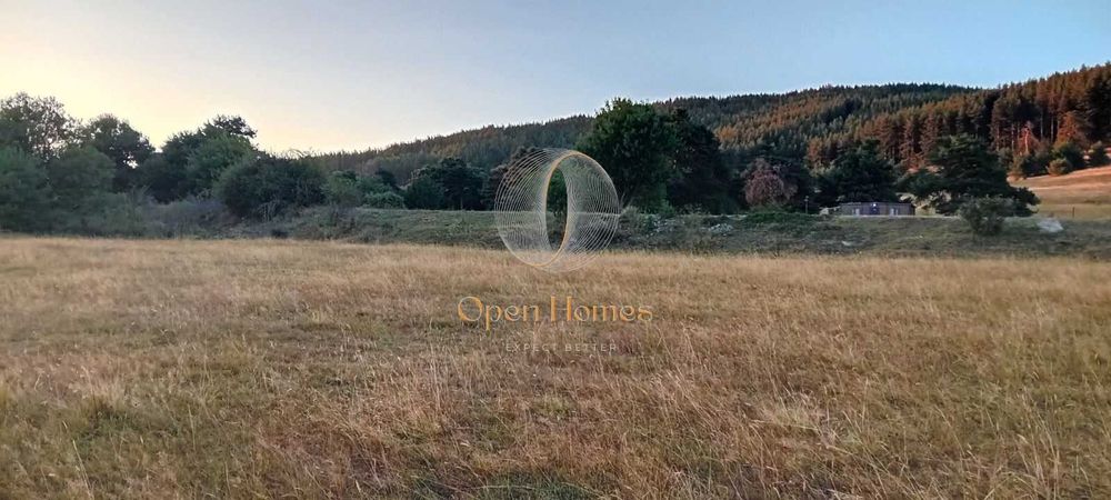 Продава се Земеделски имот в Батак -  кв.м за 13 €/дка - Снимка #3