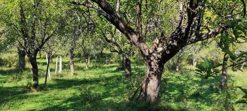 Продават се 3 земеделски имота (поземлени)