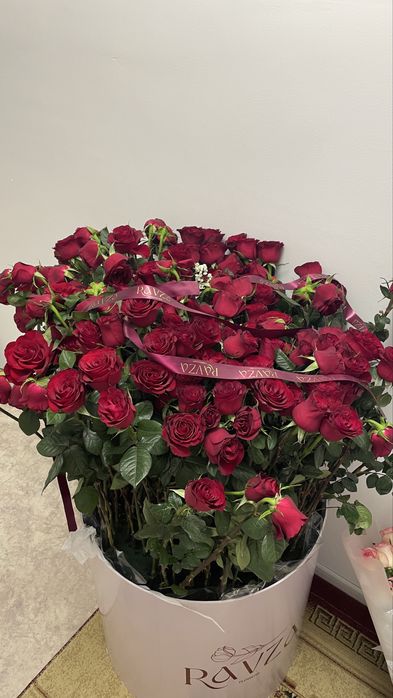 Продам цветы красивые