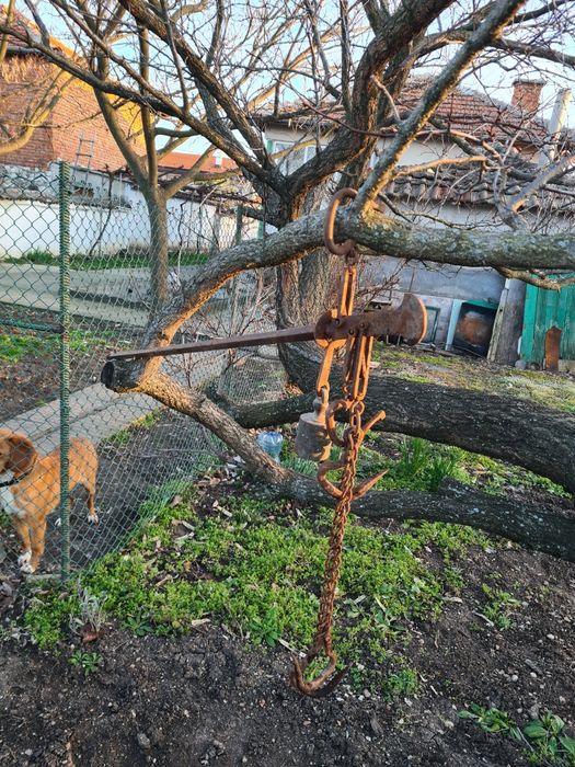 Кантар стар птедмет