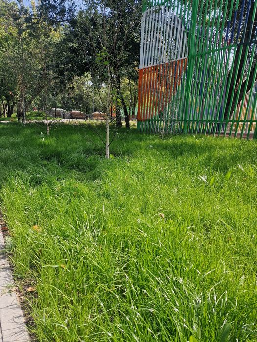 Гидропосев  газона