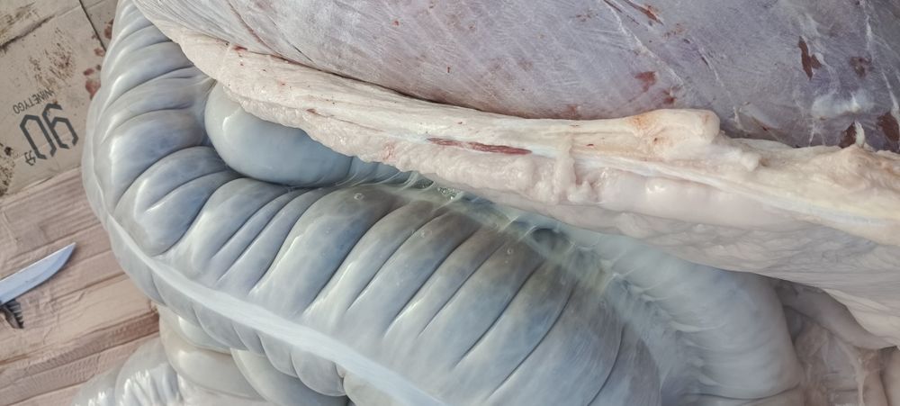 Тай еты завтра в Астане