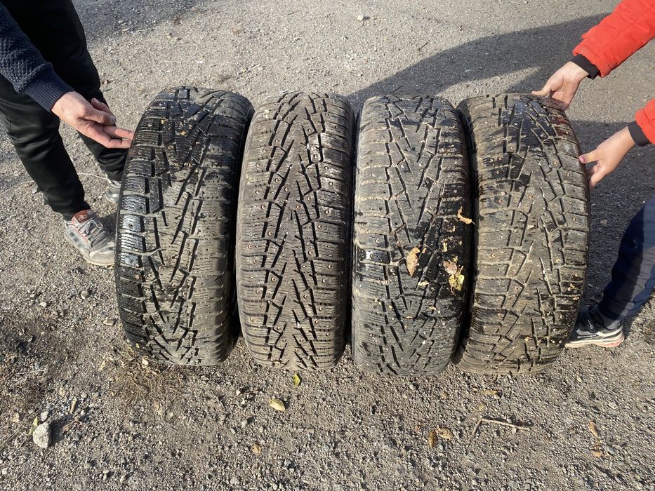 4- Донгелек шипы титанкаларымен