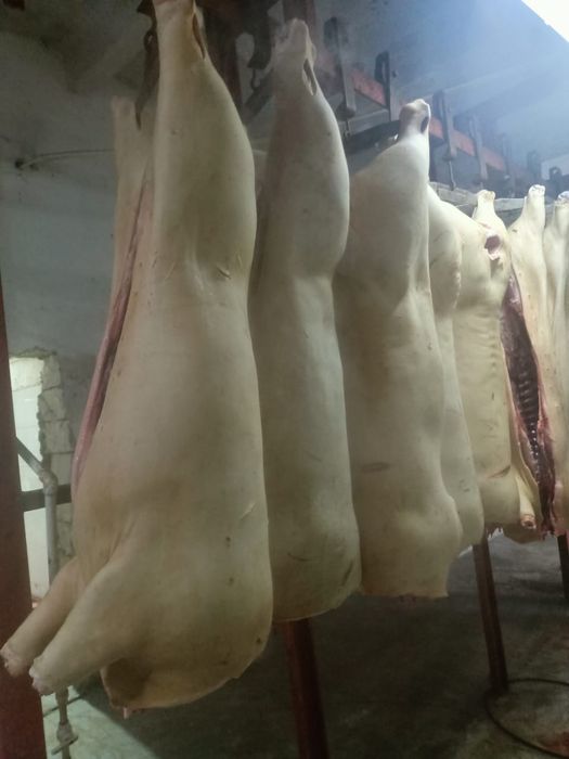 Мясо свинины с доставкой!