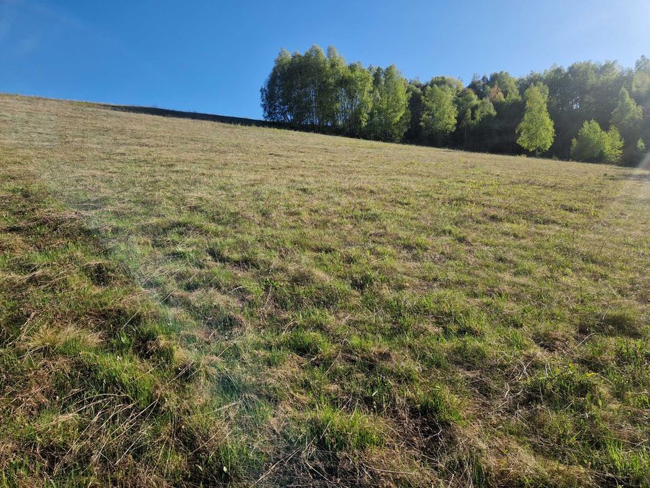 Teren intravilan in Sinteu Valea Tarnei