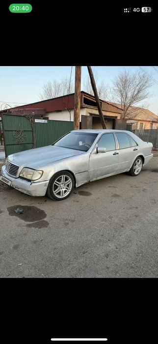 Продам кабана срочно