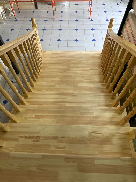 Sosna Ступень, Zina СОСНА