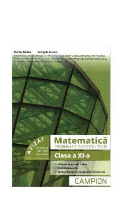 Culegeri si carti pt clasele 6, 7, 9, 11