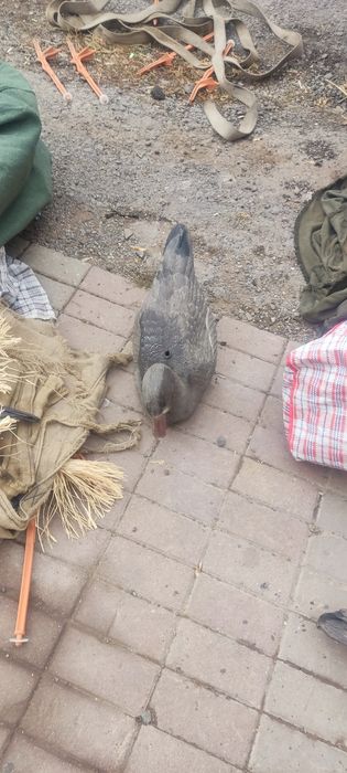 Продам гусинные профиля