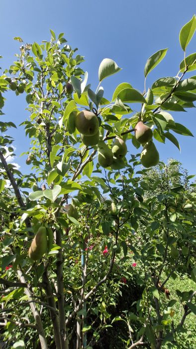 Продается дом.     .