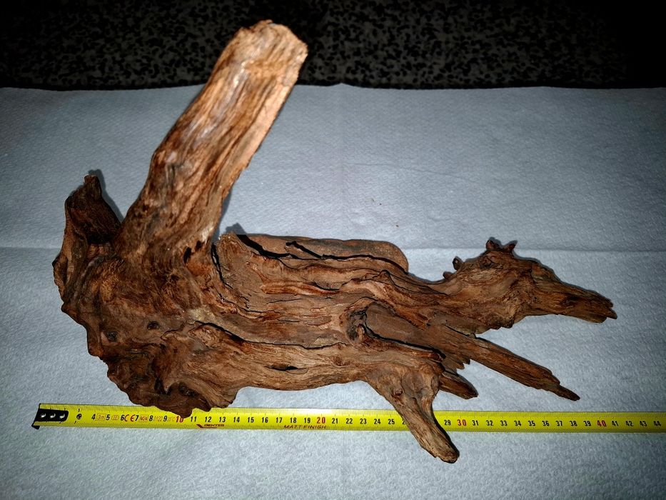 Vand buturuga pentru acvariu