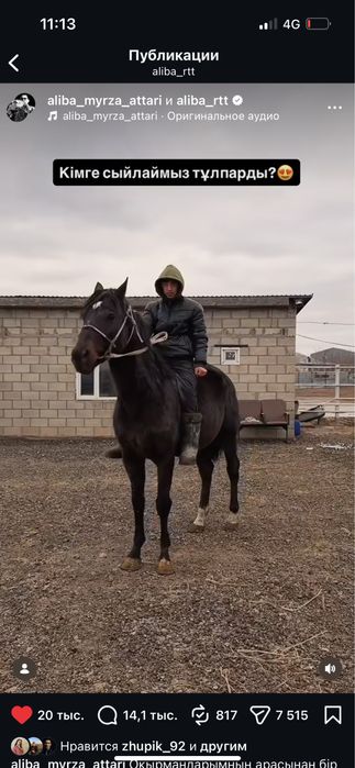 Көкпар Ат сатылады