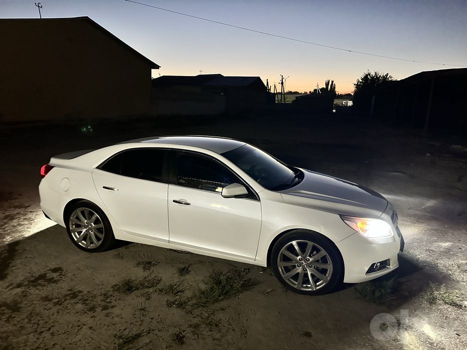 Malibu 1  20R  Diska balon