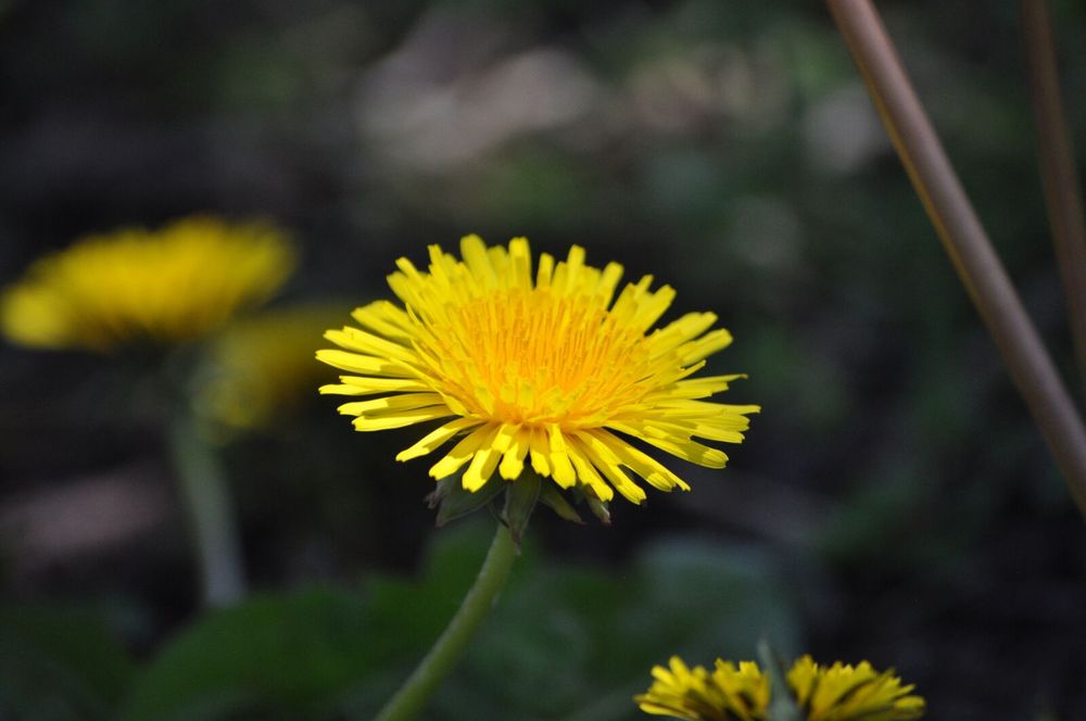 Обектив Nikkor VR 55-200mm, 4.5 - 5.6G + чантичка Fujifilm