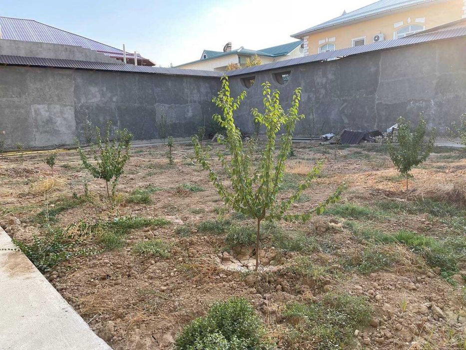 Янги уй, ер нархида сотилади, Гузал махалла (8.2 соток)