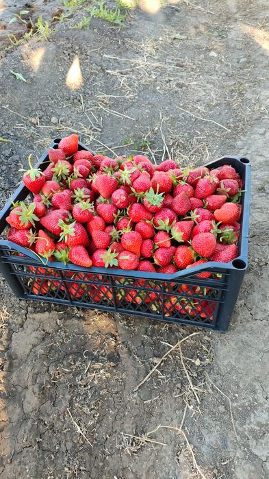 Продам дачу с домом С/о Химик