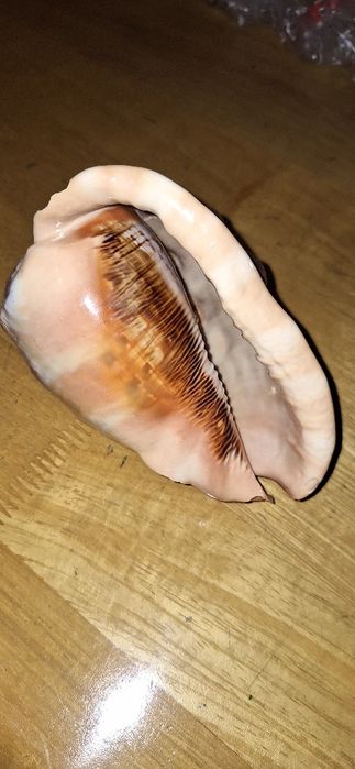 Стеклянные шары и статуэтки. Оникс.