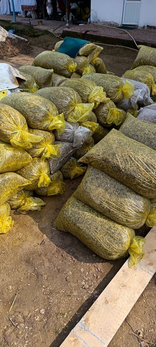 Силос сотилади донли сифати зор