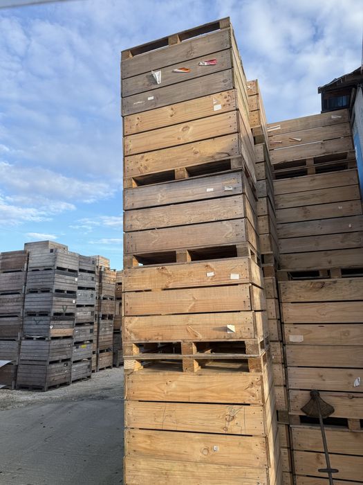 Boxpaleti lemn stare foarte buna