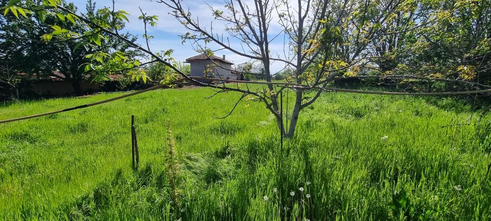 Продава се Къща в с. Голям чардак, Област Пловдив - 78 кв.м за 706 €/кв.м - Снимка #6