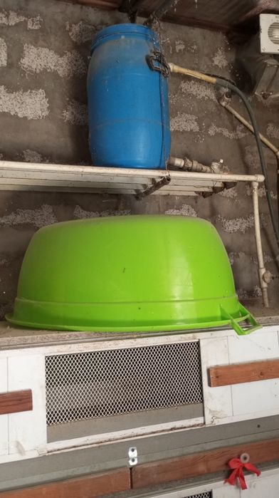 Bruder. Брудер для циплят, перепелят