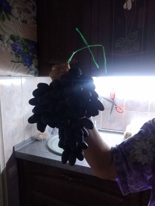 Продам саженцы столового винограда.