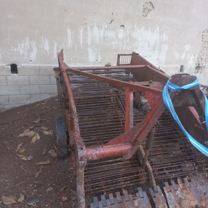 Kartoshka kólidigan sotiladi