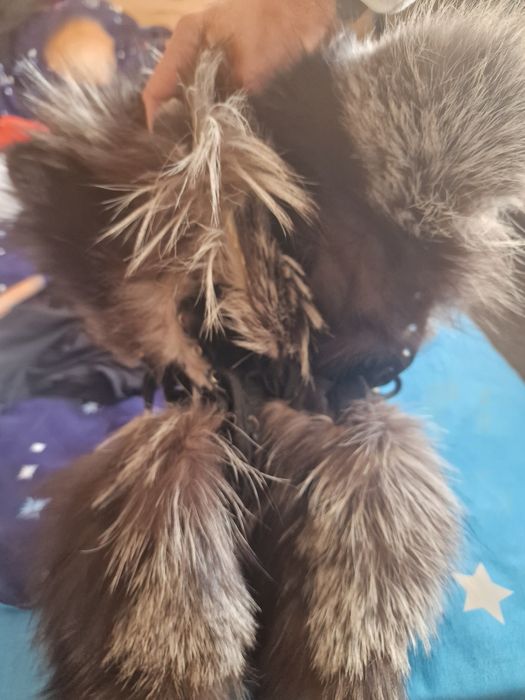 Обувки с лисица естествена кожа