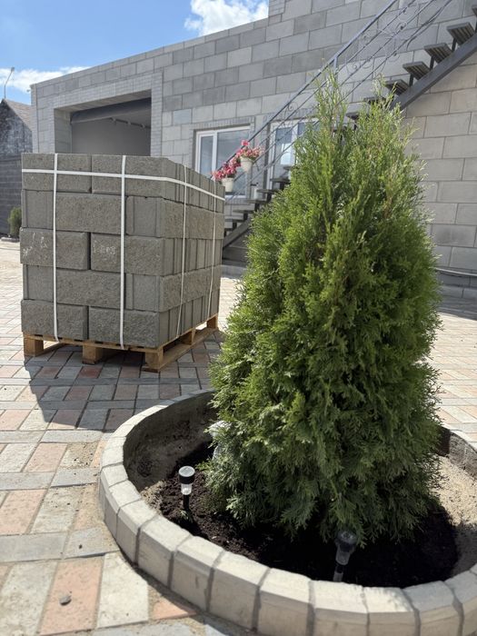 Рыаный камень вышего качества