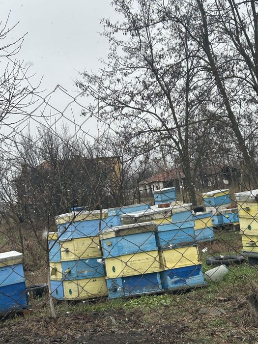 Кошери за пчели - дъно, корпус и капак