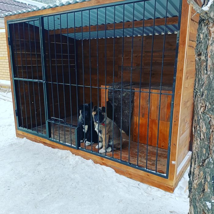 Вольеры для собак