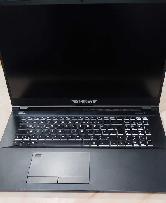 Gaming Laptop RTX 3080 | i7-11800H | 300 Hz display