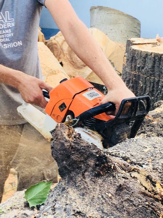 Спил/обрезка плодовых деревьев