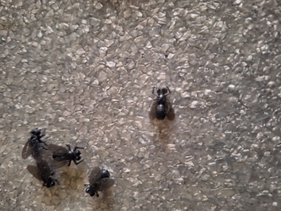 Приманка "Муха" искусственная