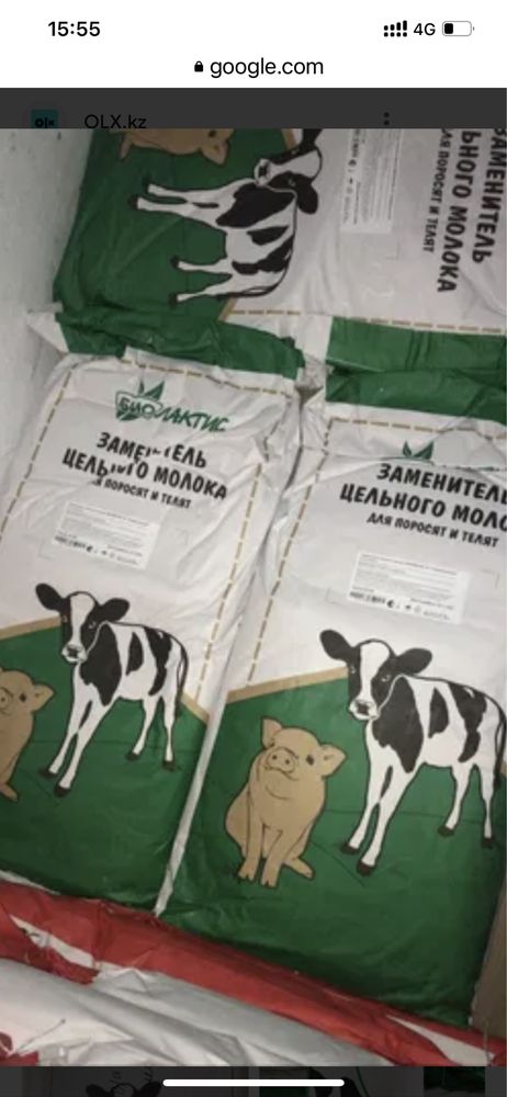 Сухое молоко Биолактис 16% Универсальное 25кг: 12 475 тг. - Зоотовары ...