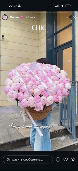 101 пионы закрытые