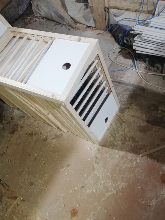 Accesorii porumbei fete