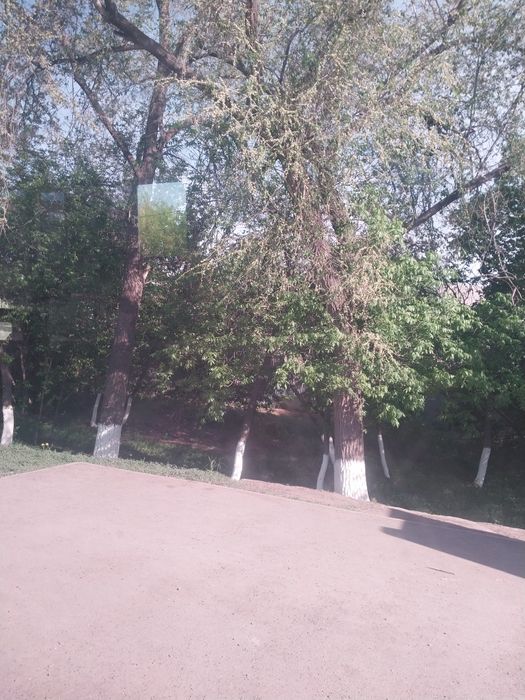 Продам участок дачный