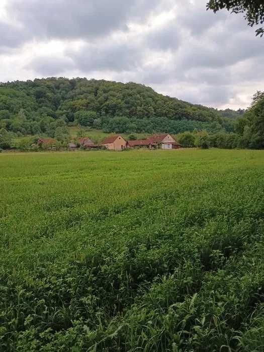Casa cu gradina 2ha intravilan