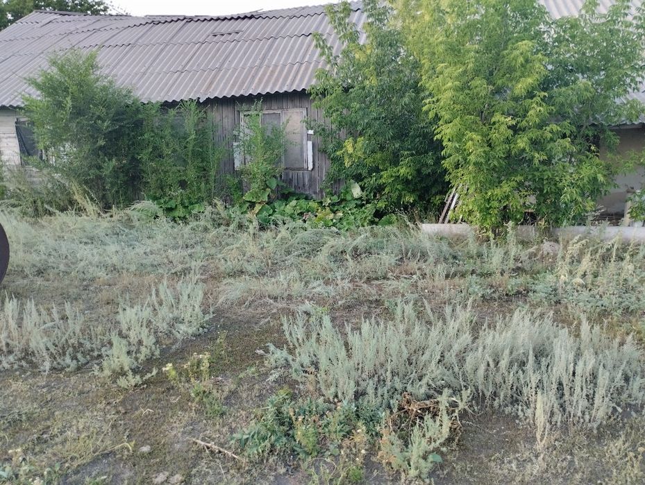 Продам дом и 30 сотак