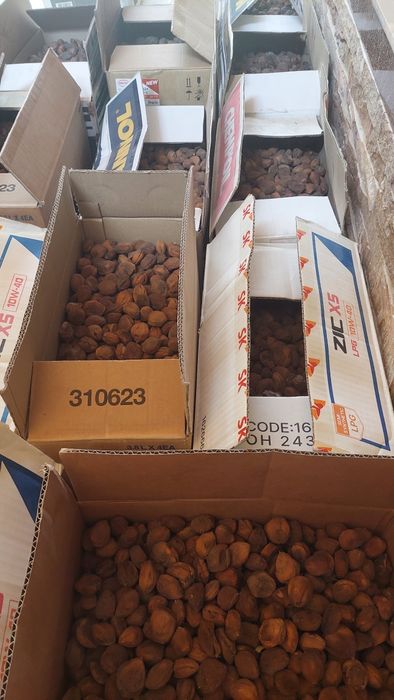 Go'lin o'rik qoqi bor sotiladi