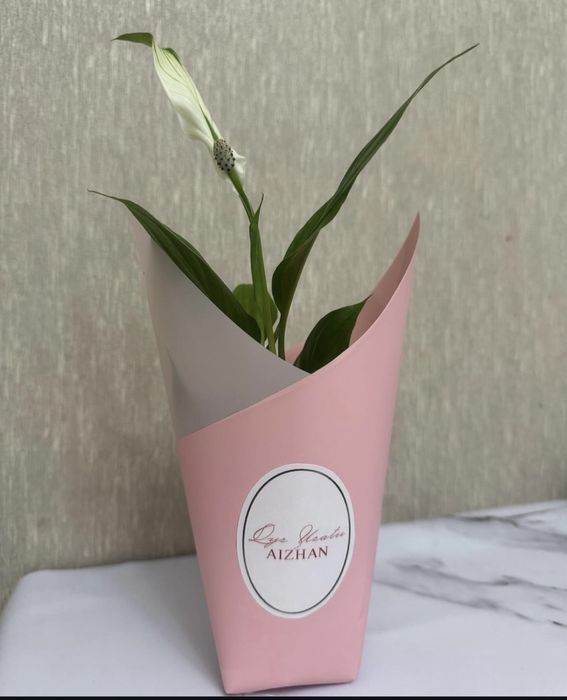 Тойбастар. Женское счастье