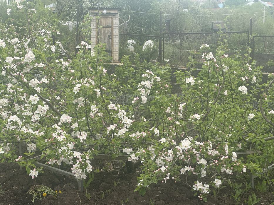 Продам двухэтажный особняк в городе Алтай (Зыряновск)