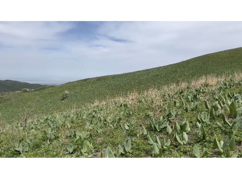 Земля 14 га крестьянкое хозяйство