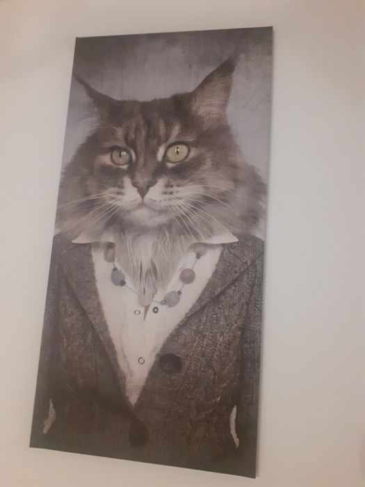 Tablouri animal face