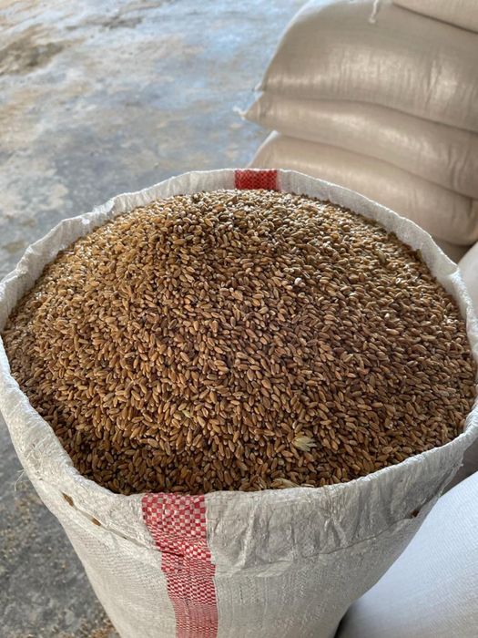 Продам пшеницу в мешках