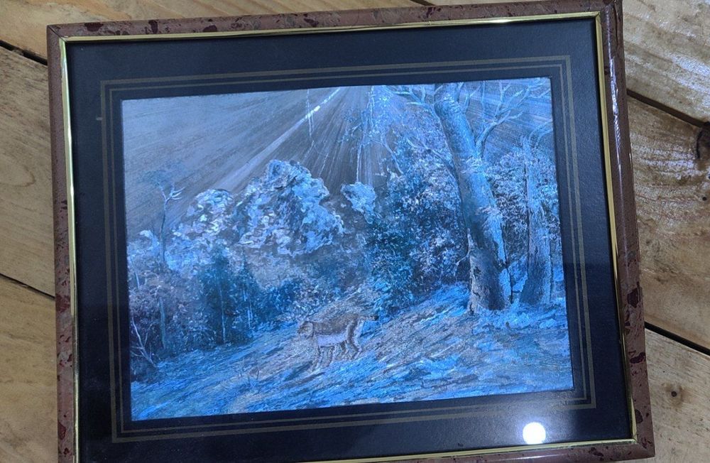 4 ta DEKOR rasmlar sotiladi!