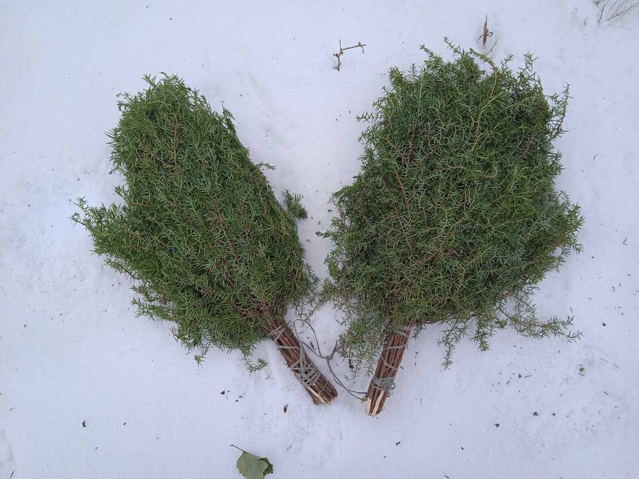 Веник для бани из можжевельника