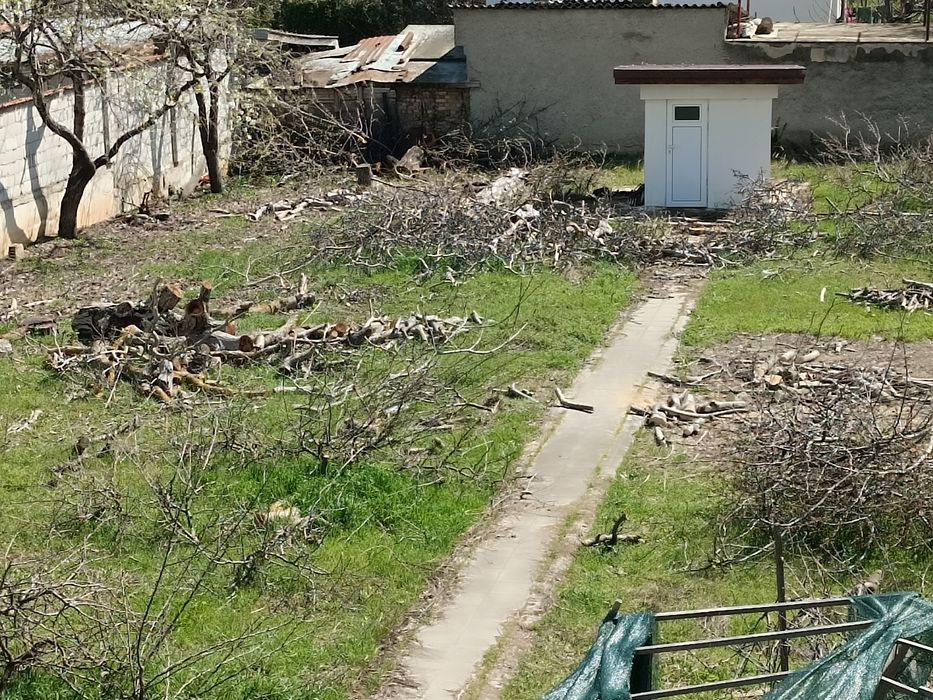 Продавам дърва за огрев, евтино.